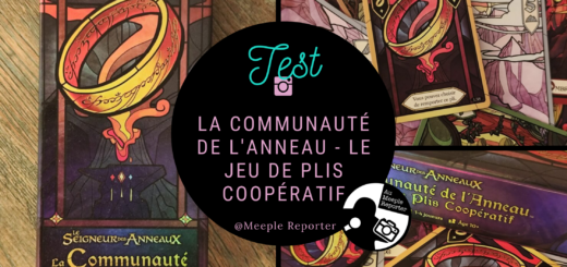 La Communauté de l'Anneau - Le Jeu de Plis Coopératif