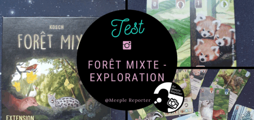 Forêt Mixte - Exploration